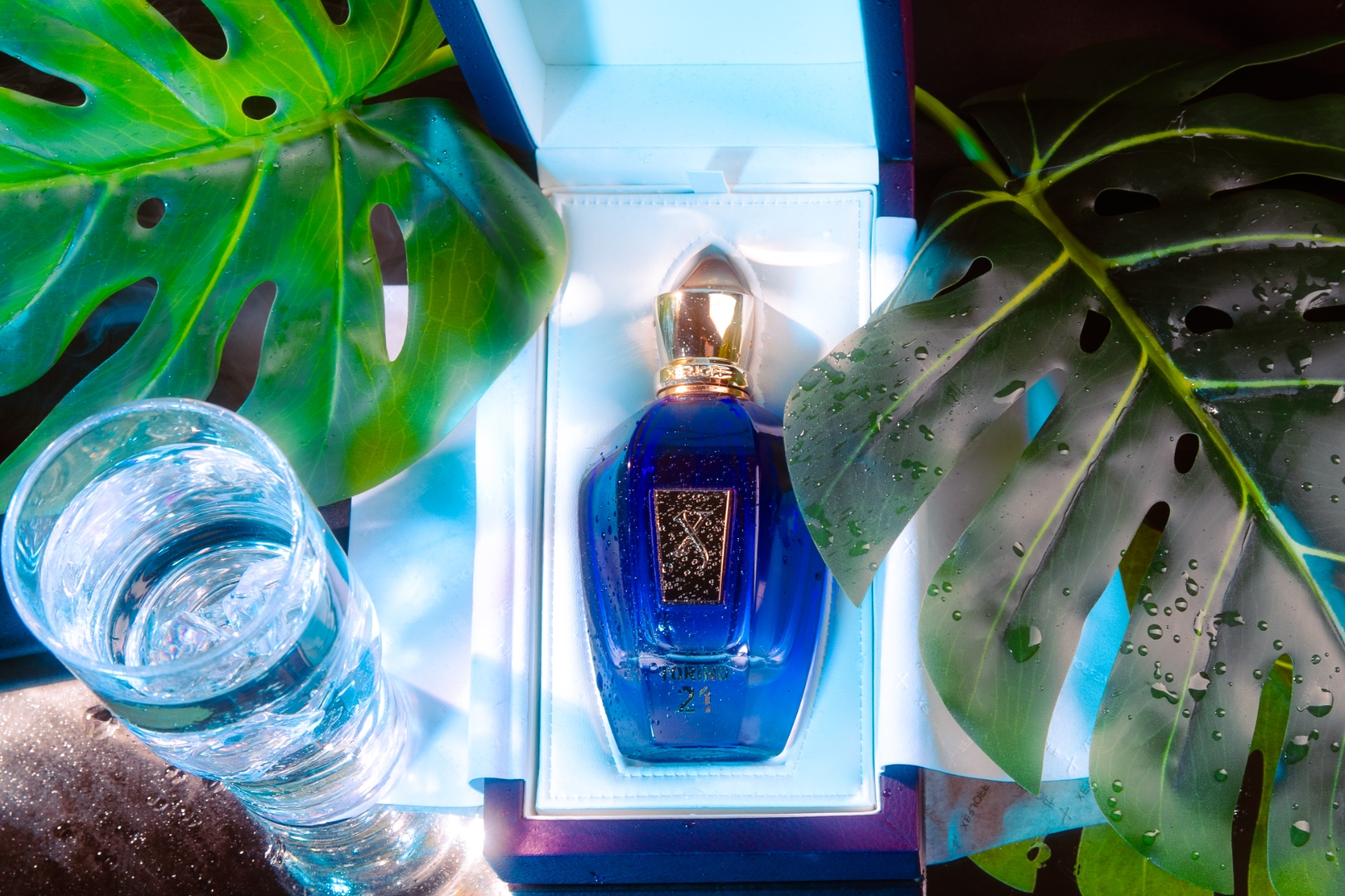 Xerjoff Torino 21 perfume in box with monstera leaves and water glass