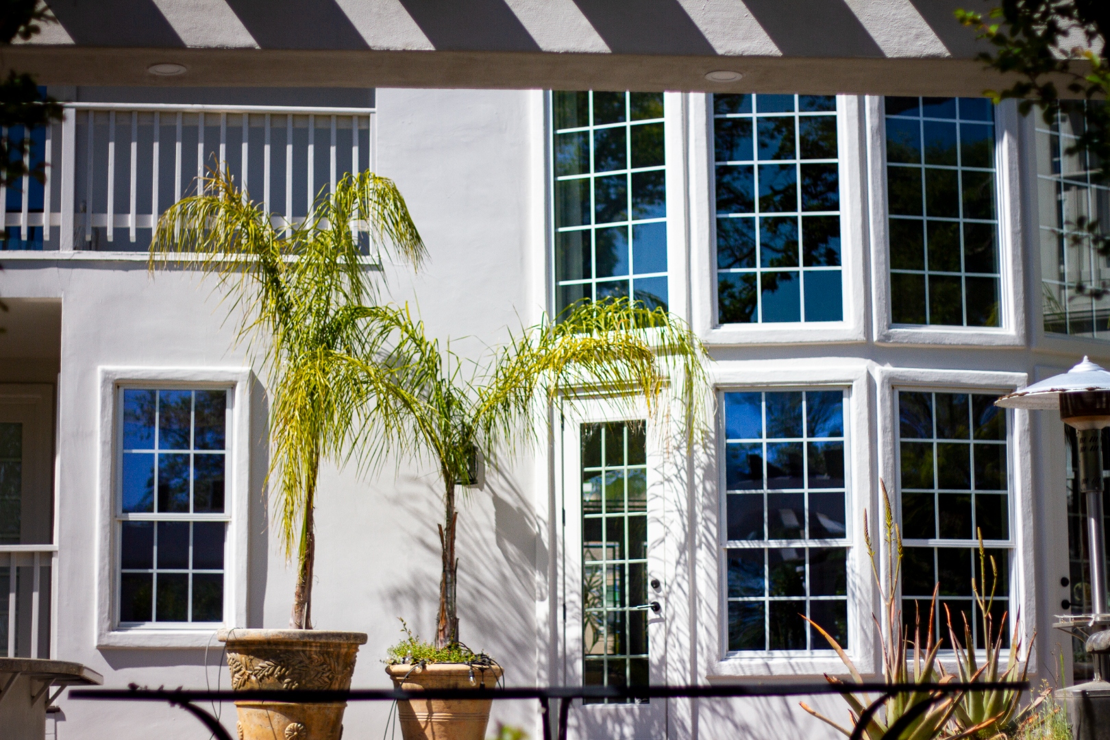 Stucco estate exterior with palm trees and large grid windows