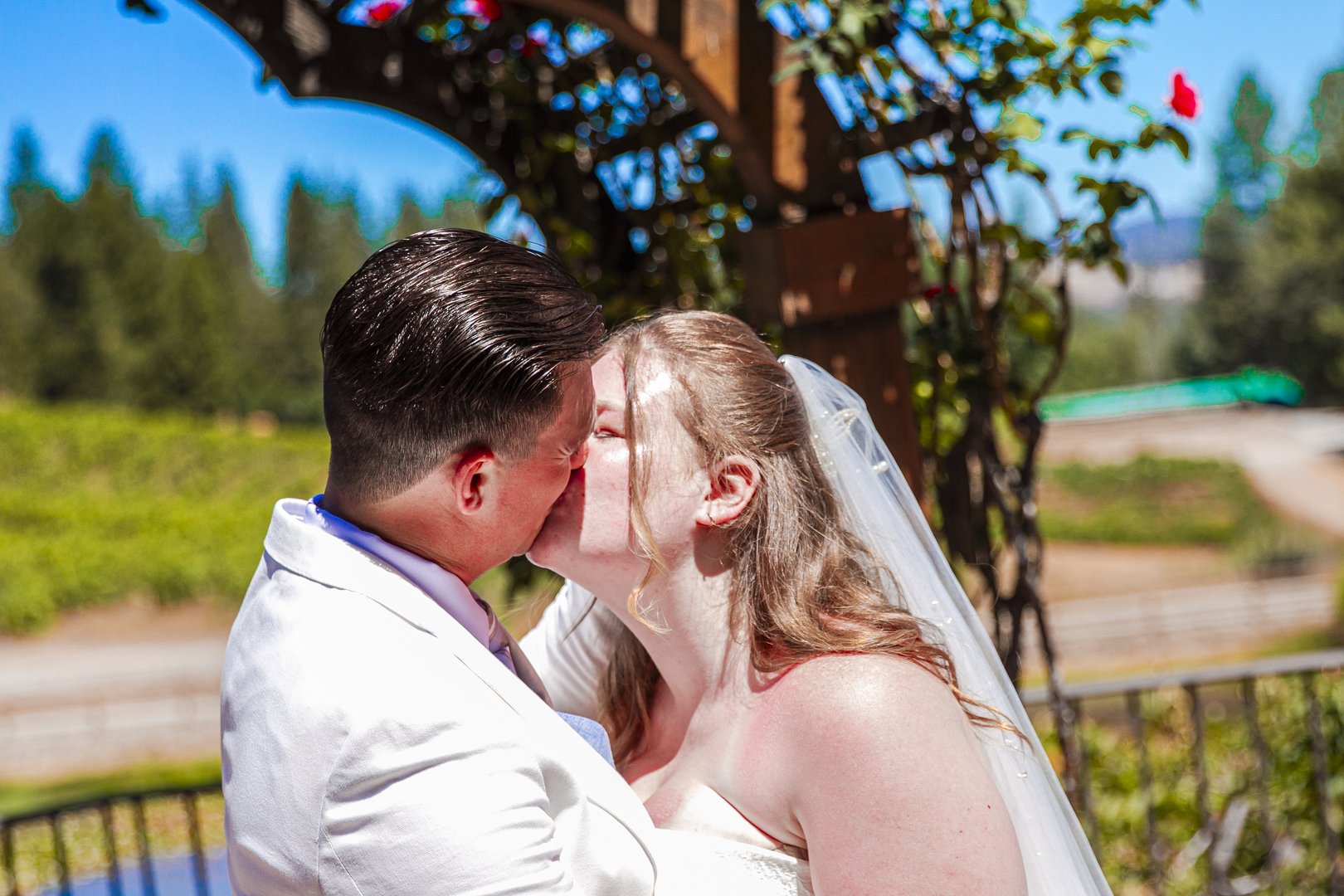 Newlyweds kiss in the sunlight with vineyard hills behind them